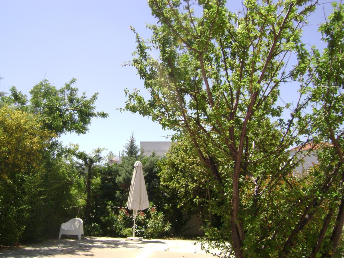 Planitas Villas Skopelos stad Exteriör bild